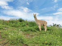 photo property thumbnail