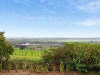 photo property thumbnail