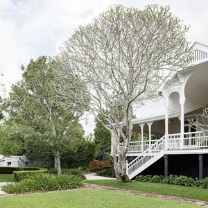 84 Cormier Pike Apt. 054 - Balgowlah heights