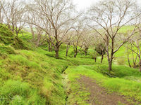 photo property thumbnail