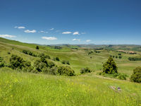 photo property thumbnail