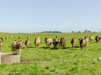 photo property thumbnail