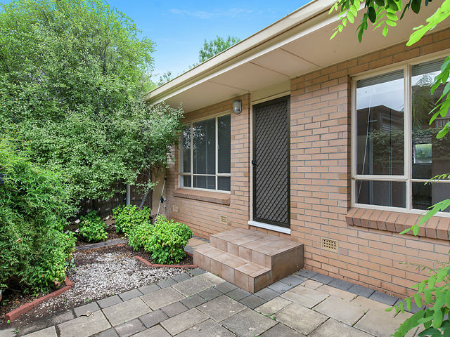 1/12 Primrose Terrace Rosslyn Park