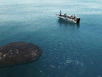 photo property thumbnail