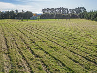 photo property thumbnail