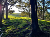 photo property thumbnail