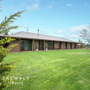 84 Cormier Pike Apt. 054 - Balgowlah heights