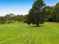 photo property thumbnail