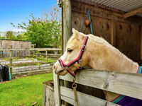 photo property thumbnail
