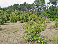 photo property thumbnail