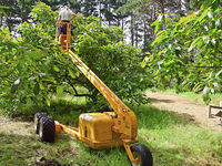 photo property thumbnail