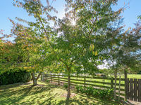 photo property thumbnail