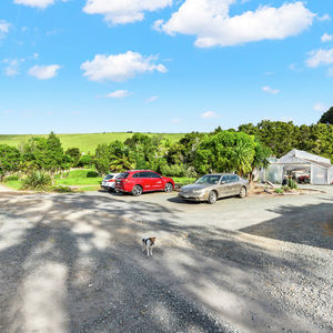 84 Cormier Pike Apt. 054 - Balgowlah heights