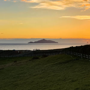 84 Cormier Pike Apt. 054 - Balgowlah heights