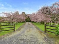 photo property thumbnail