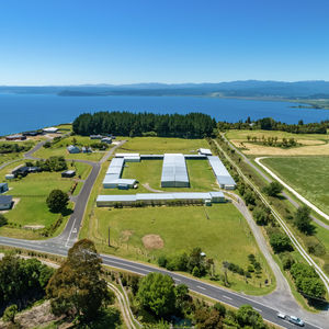 84 Cormier Pike Apt. 054 - Balgowlah heights