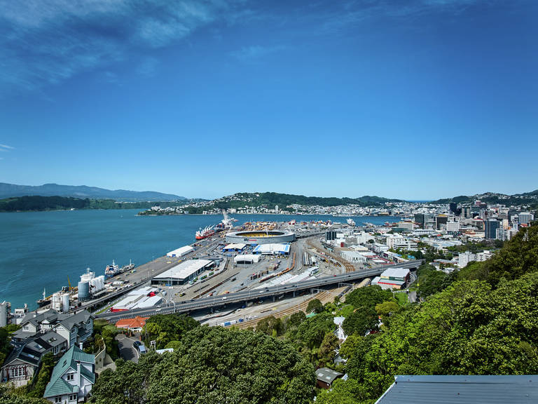 12 Anne Street Wadestown