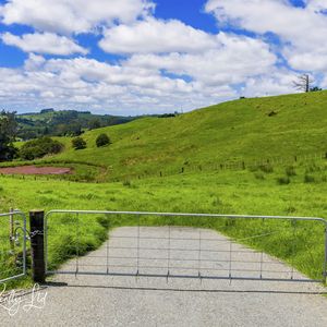 84 Cormier Pike Apt. 054 - Balgowlah heights