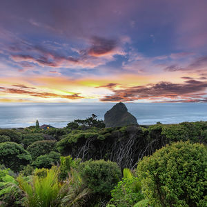 84 Cormier Pike Apt. 054 - Balgowlah heights