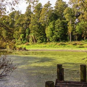 84 Cormier Pike Apt. 054 - Balgowlah heights