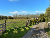photo property thumbnail
