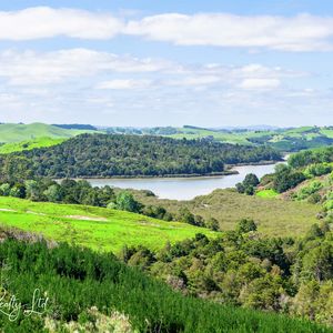 84 Cormier Pike Apt. 054 - Balgowlah heights