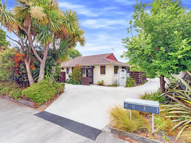 1/43 Warrington Street Mairehau