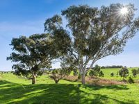 photo property thumbnail