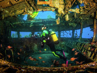 photo property thumbnail