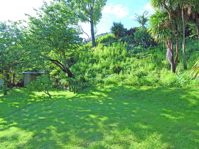 51B Hawera Road Kohimarama