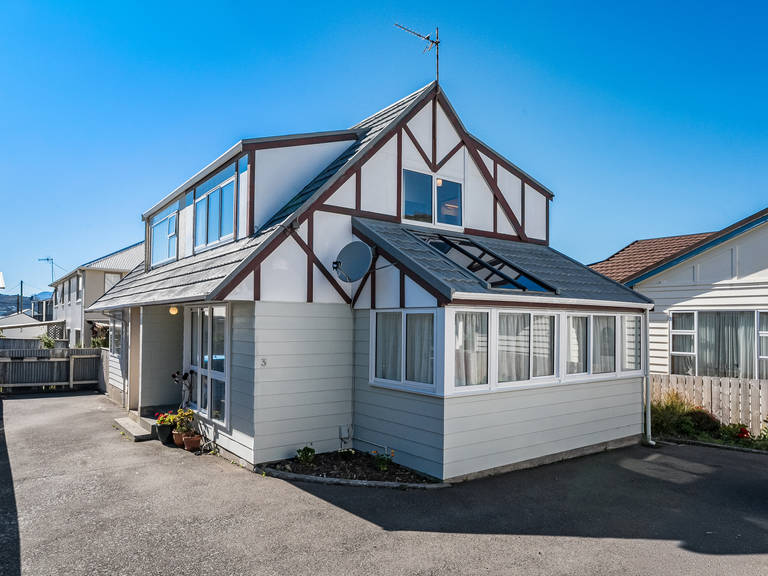 3/133 Queens Drive Lyall Bay