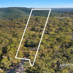 84 Cormier Pike Apt. 054 - Balgowlah heights