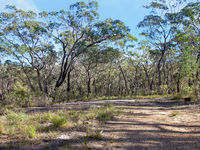 photo property thumbnail