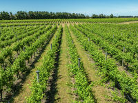 photo property thumbnail