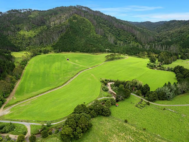 10 ha Peach Orchard Road Whakapara