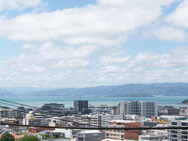11 Maarama Crescent Aro Valley