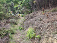 photo property thumbnail