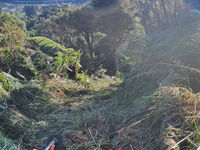 photo property thumbnail