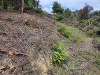 photo property thumbnail