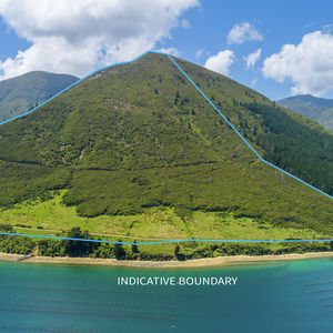 84 Cormier Pike Apt. 054 - Balgowlah heights