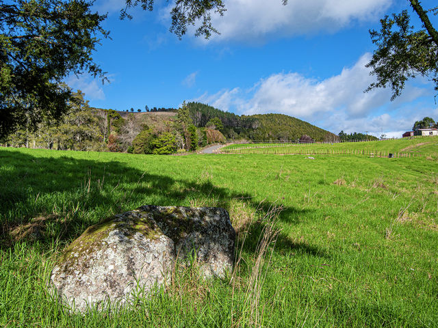 451 Crane Road Kauri