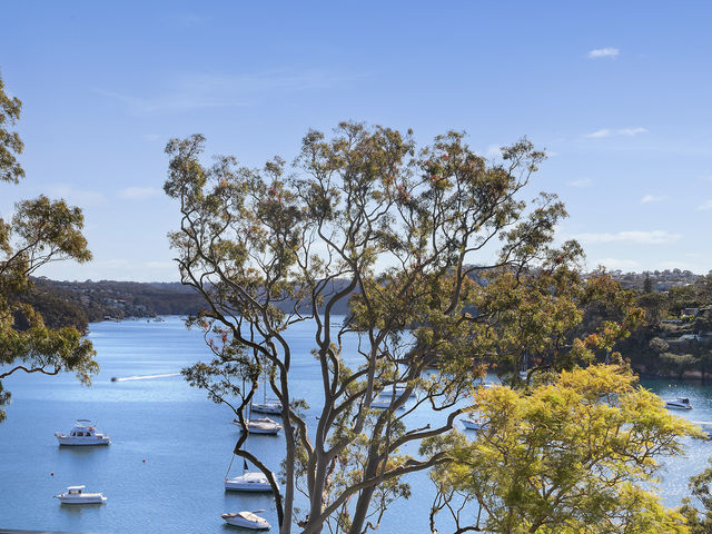 15 Burton Street Mosman