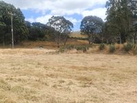 photo property thumbnail