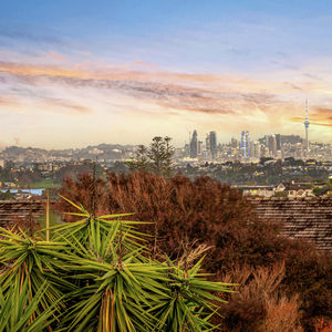 84 Cormier Pike Apt. 054 - Balgowlah heights