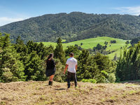 photo property thumbnail