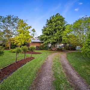 84 Cormier Pike Apt. 054 - Balgowlah heights