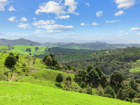 photo property thumbnail