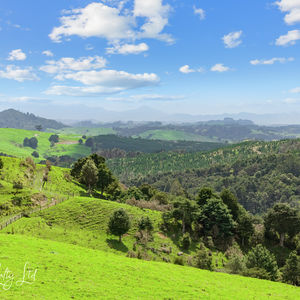 84 Cormier Pike Apt. 054 - Balgowlah heights