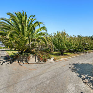 84 Cormier Pike Apt. 054 - Balgowlah heights