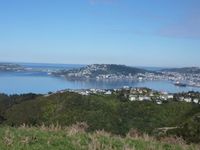 photo property thumbnail